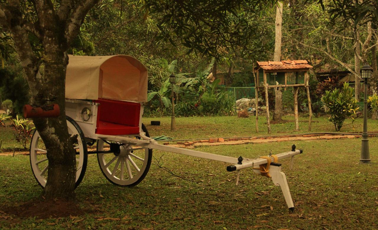 Palathra Heritage Mararikulam Bagian luar foto