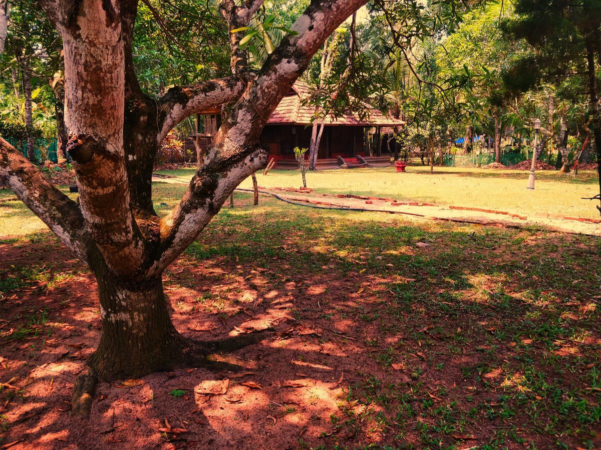 Palathra Heritage Mararikulam Bagian luar foto