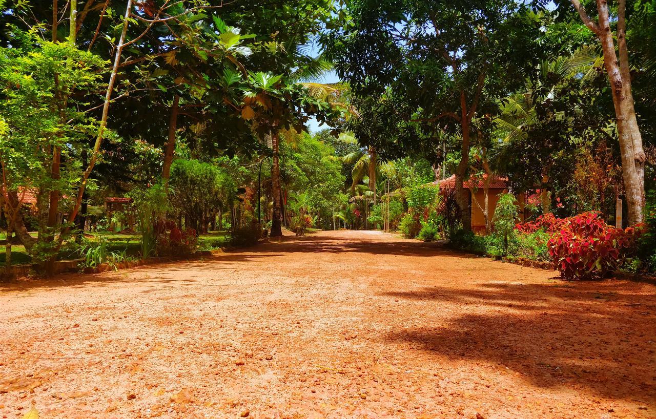 Palathra Heritage Mararikulam Bagian luar foto