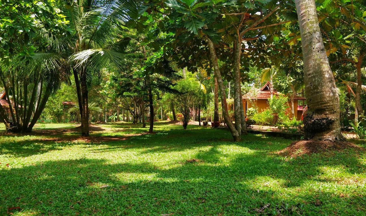 Palathra Heritage Mararikulam Bagian luar foto
